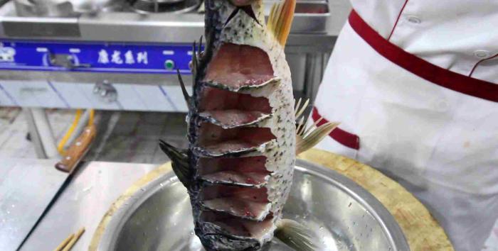 鯉魚劃刀處理